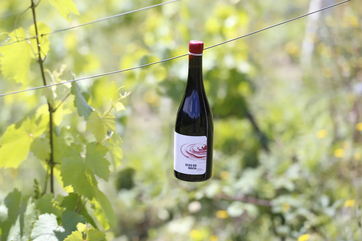 ecos-do-navia-tinto-2_comprimida