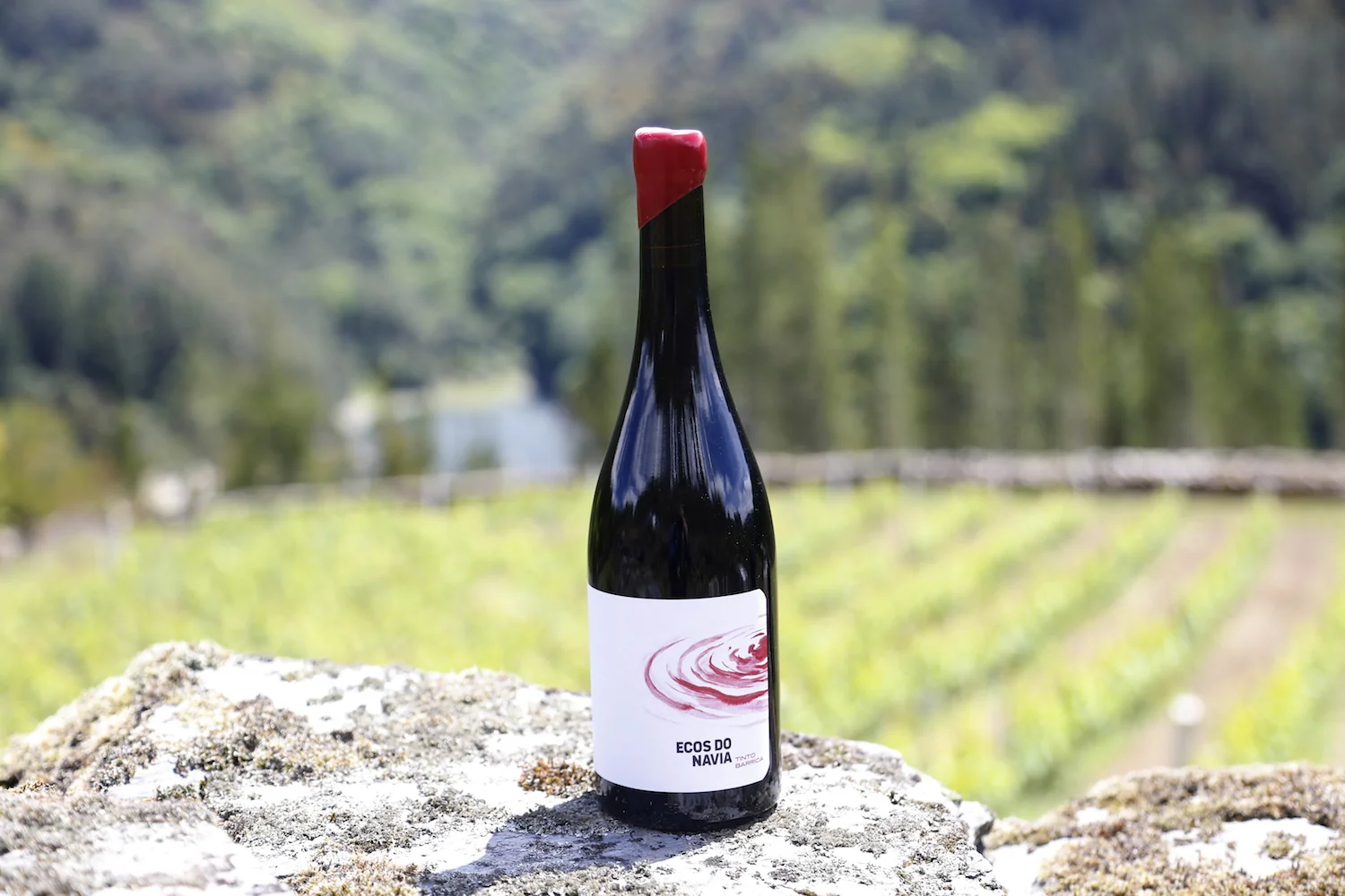 ecos-do-navia-tinto_comprimida